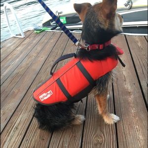 Doggy life jacket!!